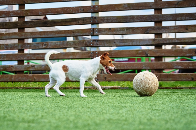 artificial turfs for pets